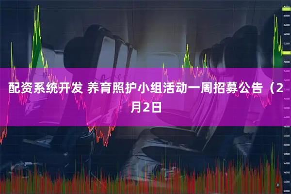 配资系统开发 养育照护小组活动一周招募公告（2月2日